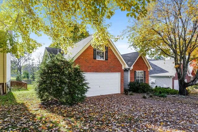 a house that has a tree in front of it