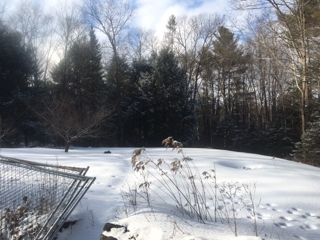 79 Seaver Road Harrisville, NH 03450 - Photo 17 of 17