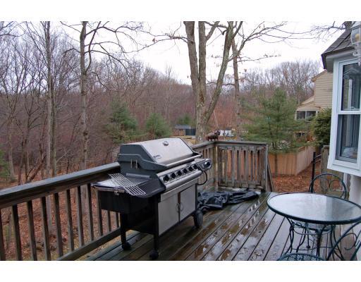 156 Willow Gate Rise Holliston, MA 01746 - Photo 20 of 24 Gallery Image 20