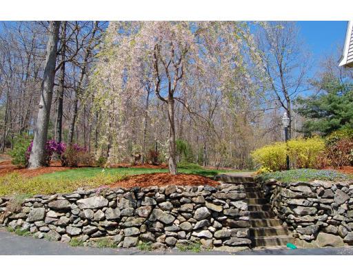 156 Willow Gate Rise Holliston, MA 01746 - Photo 23 of 24 Gallery Image 23