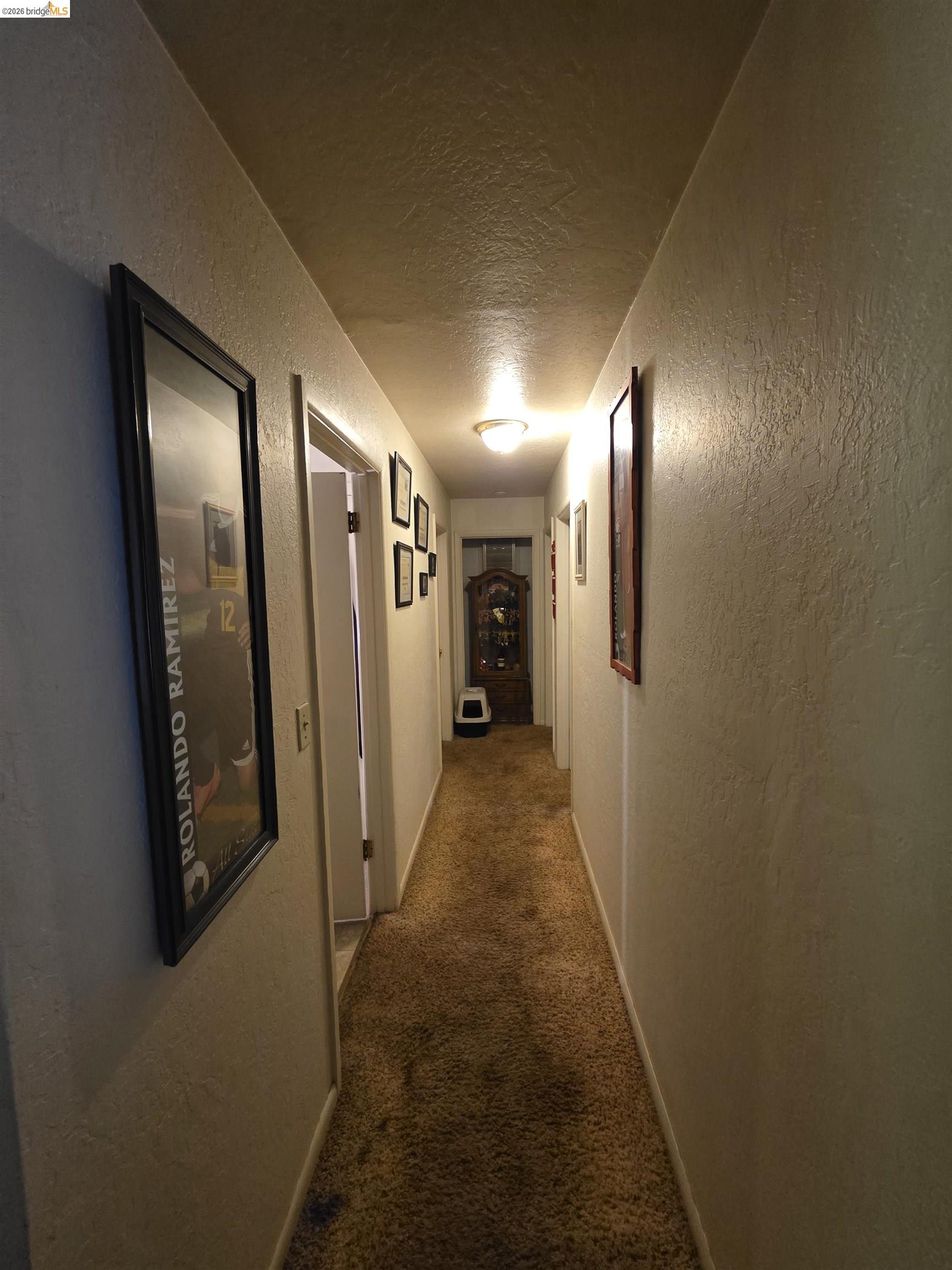 2323 Spink Road West Point, CA 95255 - Photo 12 of 17 Hallway featuring neutral-toned textured walls, plush carpeting, and recessed lighting