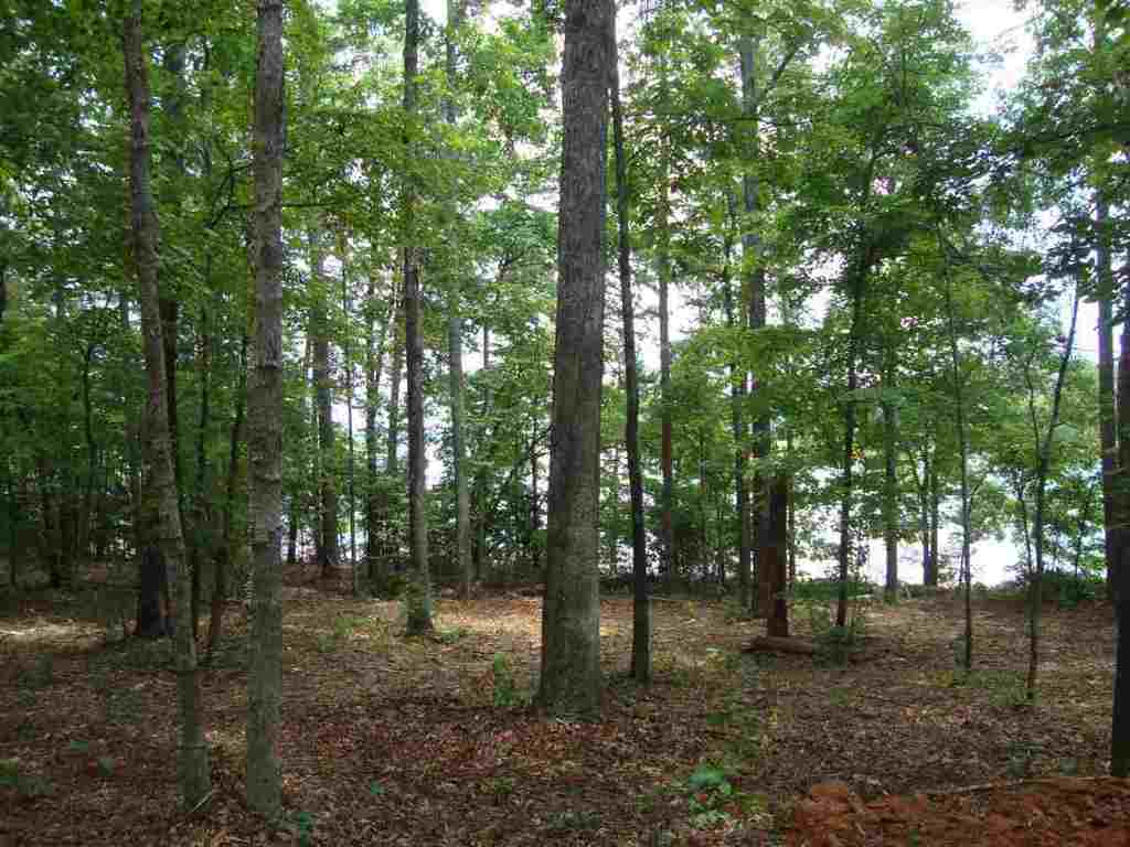 19 Rock Point Seneca, SC 29678 - Photo 12 of 35 Gallery Image 12