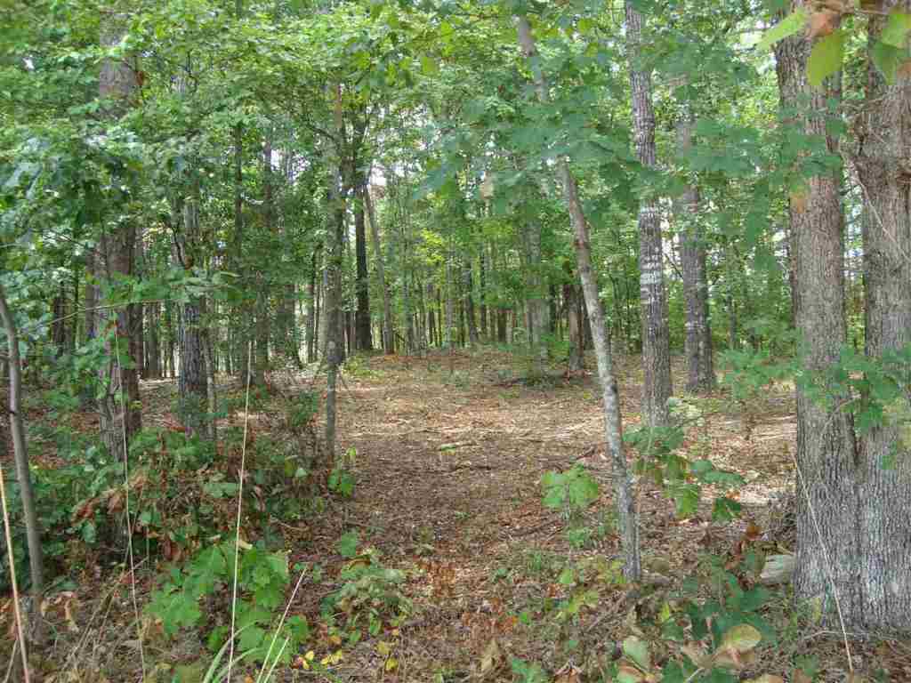 19 Rock Point Seneca, SC 29678 - Photo 15 of 35 Gallery Image 15