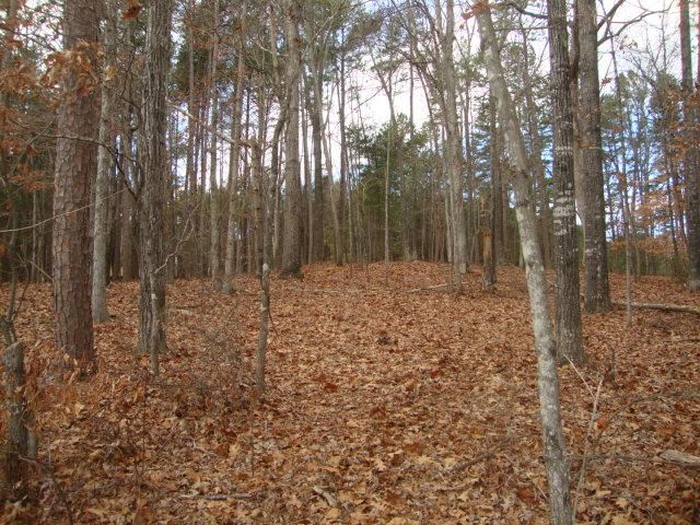 19 Rock Point Seneca, SC 29678 - Photo 20 of 35 Gallery Image 20