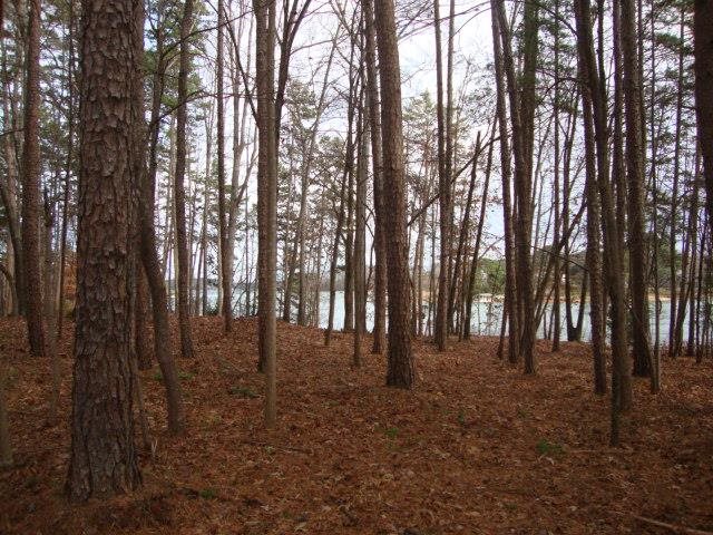 19 Rock Point Seneca, SC 29678 - Photo 26 of 35 Gallery Image 26