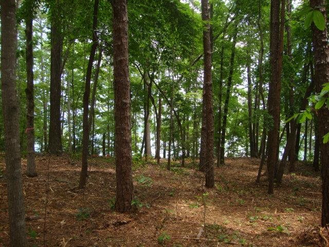 19 Rock Point Seneca, SC 29678 - Photo 6 of 35 Gallery Image 6