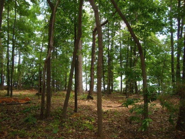 19 Rock Point Seneca, SC 29678 - Photo 7 of 35 Gallery Image 7