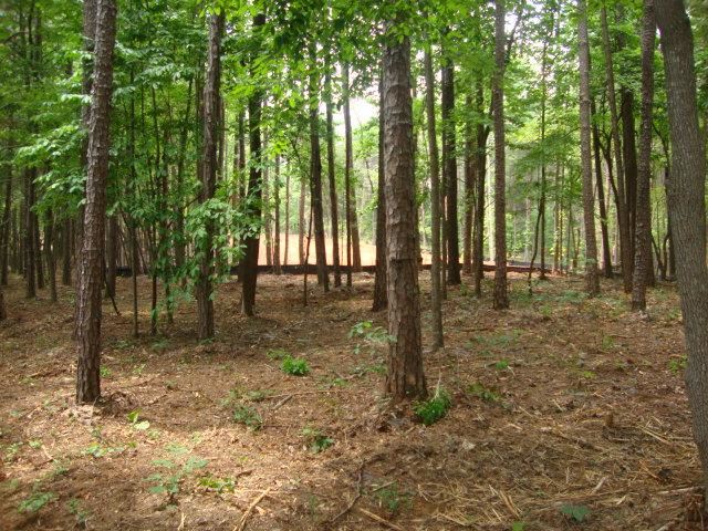 19 Rock Point Seneca, SC 29678 - Photo 8 of 35 Gallery Image 8