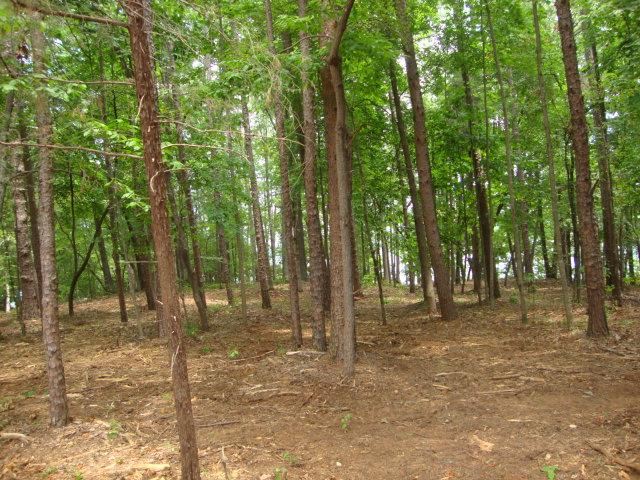 19 Rock Point Seneca, SC 29678 - Photo 9 of 35 Gallery Image 9