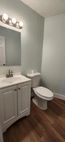 a bathroom with a toilet a sink and mirror
