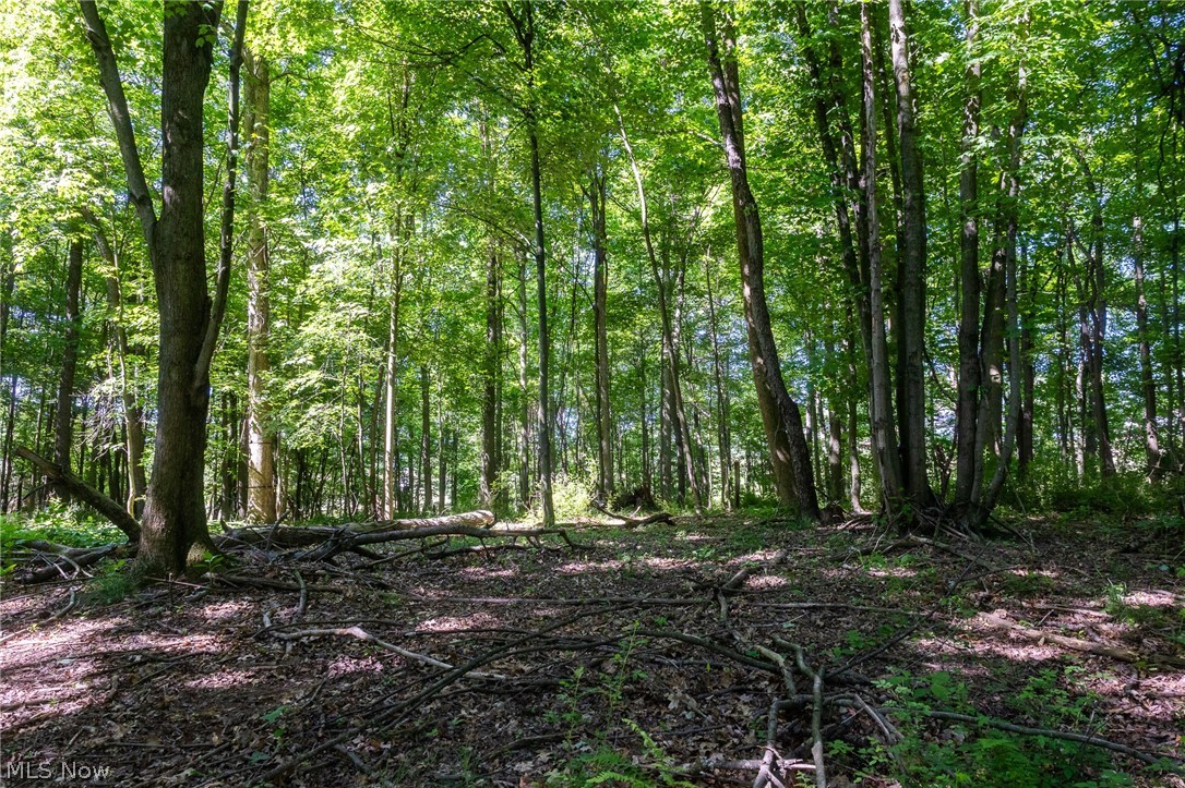Ridge Road Minerva, OH 44657 - Photo 12 of 49