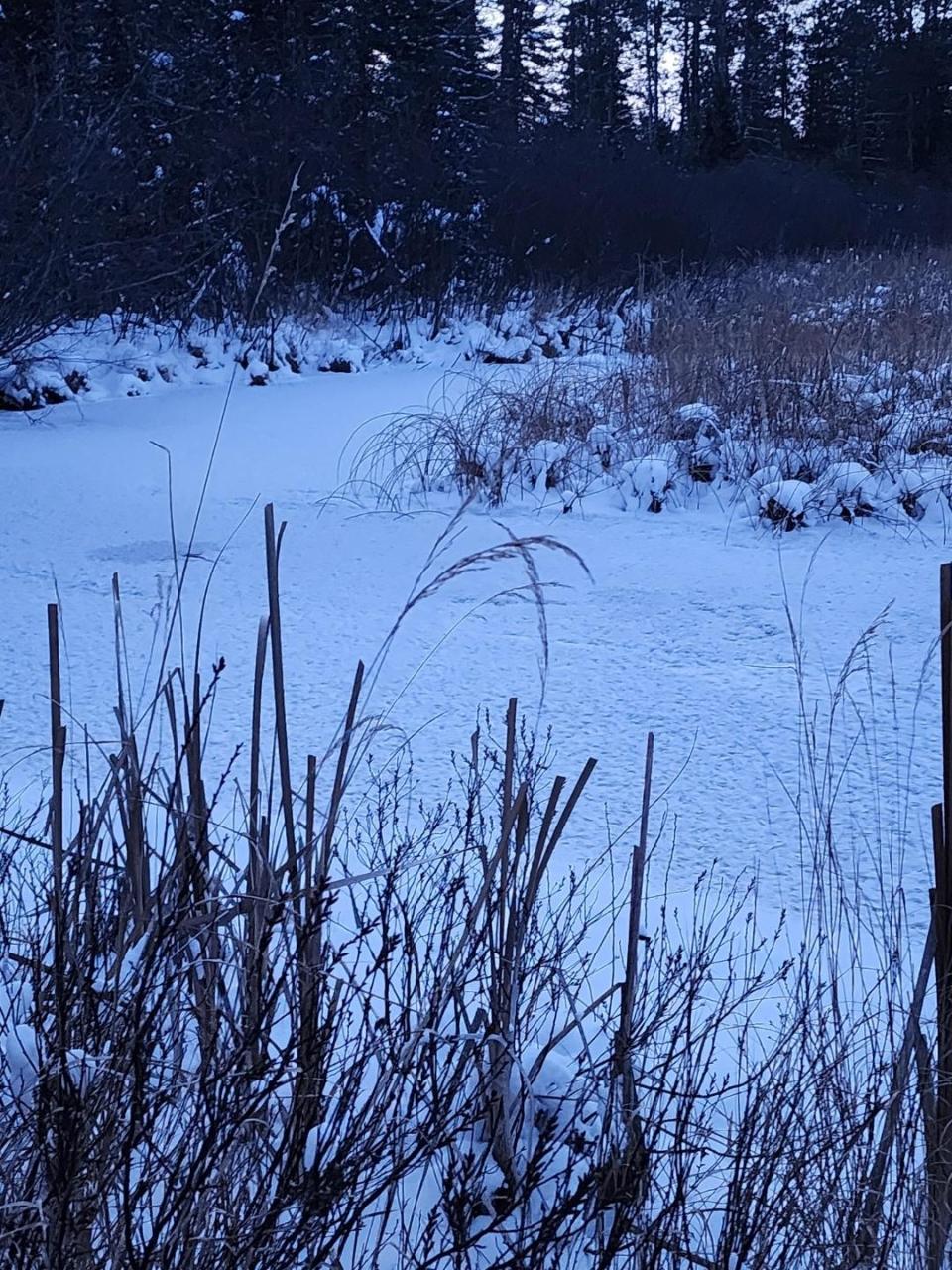 1939 Rice Lane Eagle River, WI 54521 - Photo 3 of 17 Gallery Image 3