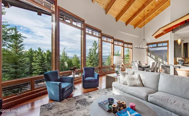 a living room with furniture a rug potted plant and a large window