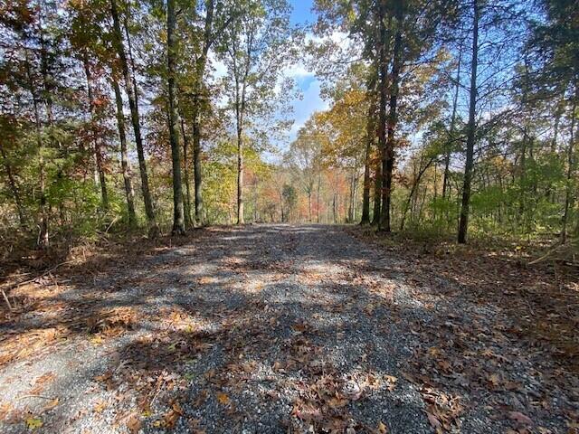817 Galbraith Road Brooksville, KY 41004 - Photo 3 of 5