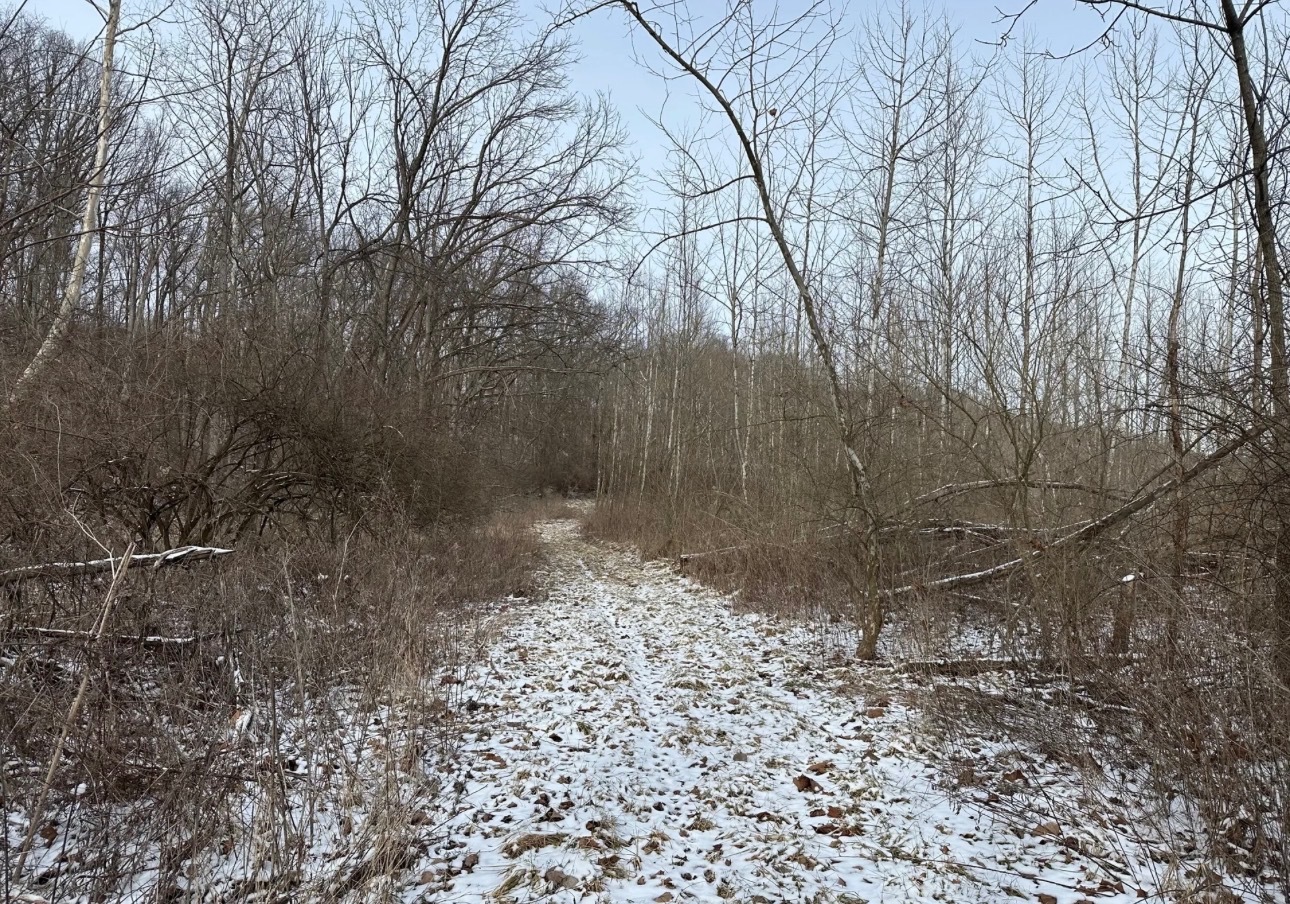 0 County Rd 230 N Road Ridge Farm, IL 61870 - Photo 22 of 28 Gallery Image 22