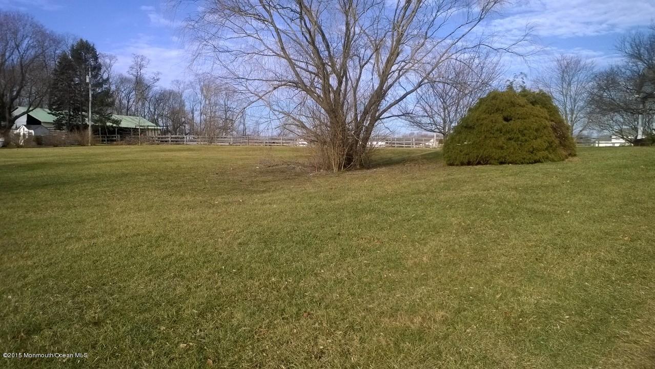 Large level yard