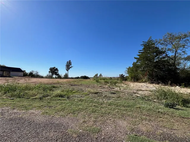 a view of a large tree with a yard