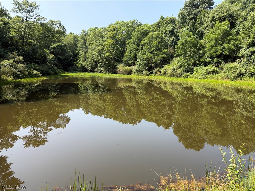 1047 Poinsettia Road Scio, OH 43988 - Photo 8 of 33 View of the acreage and private pond.