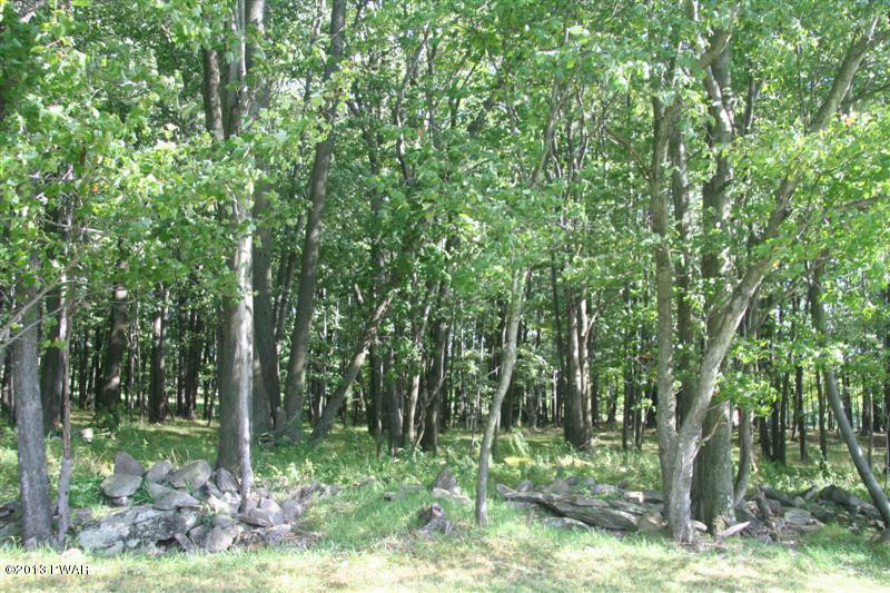 263 Lake Quinn Road Waymart, PA 18472 - Photo 37 of 50