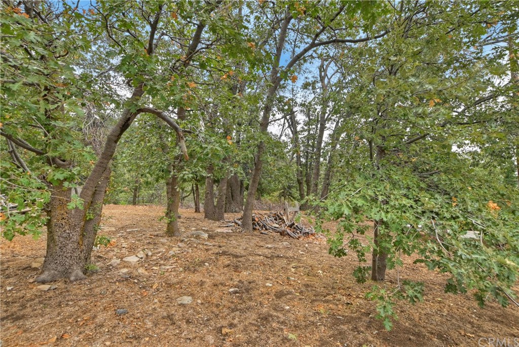 1211 Bridal Path Rimforest, CA 92378 - Photo 27 of 28 a big yard with lots of trees
