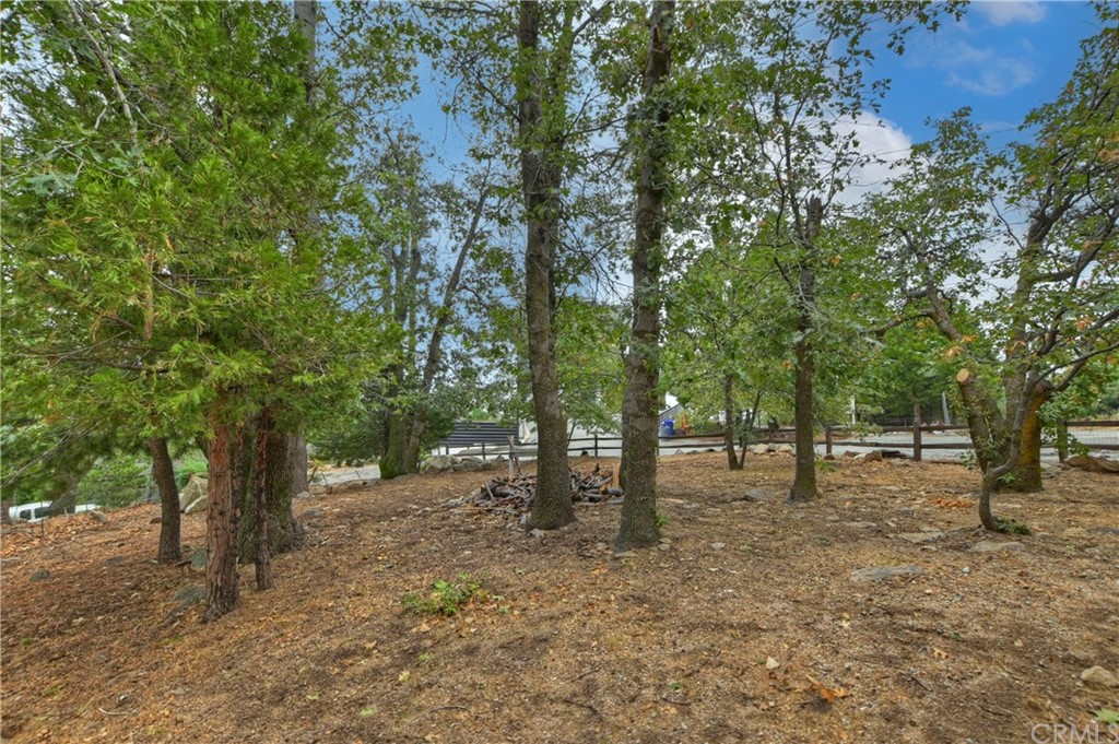 1211 Bridal Path Rimforest, CA 92378 - Photo 28 of 28 a view of outdoor space with tree s
