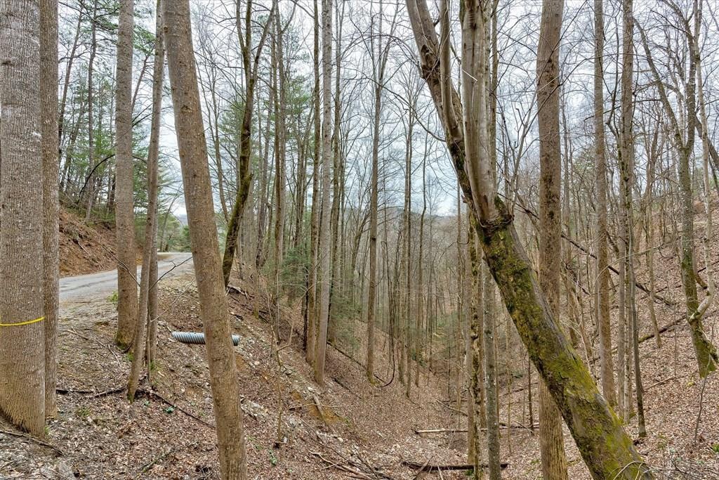 13 Sunset Road Sevierville, TN 37862 - Photo 1 of 27 Gallery Image 1
