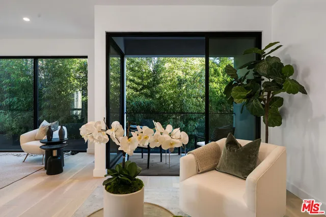a living room with furniture and a potted plant