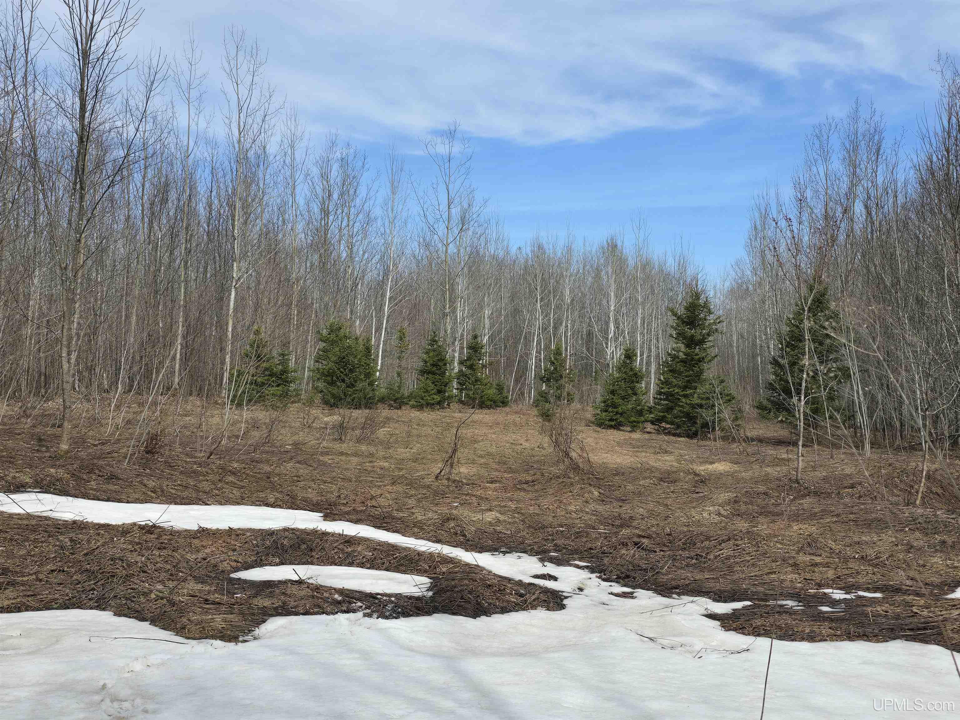 Tbd Woodspur Road Ontonagon, MI 49953 - Photo 6 of 46
