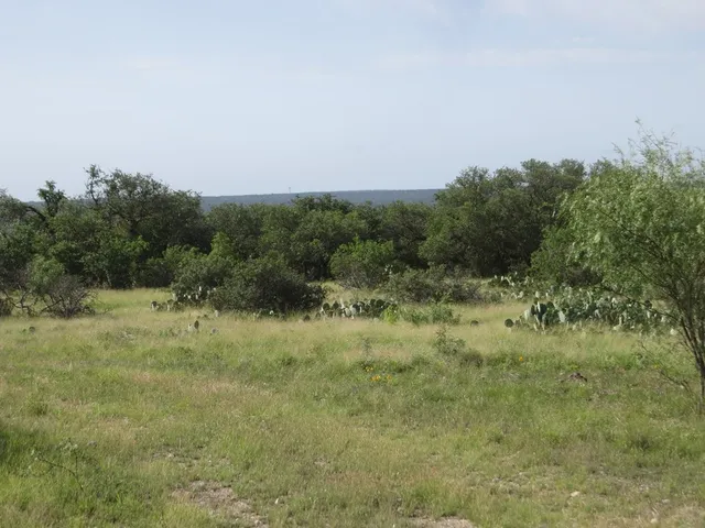 $1,600,000 | 8849 Benson Rd Junction, Menard, TX 76859