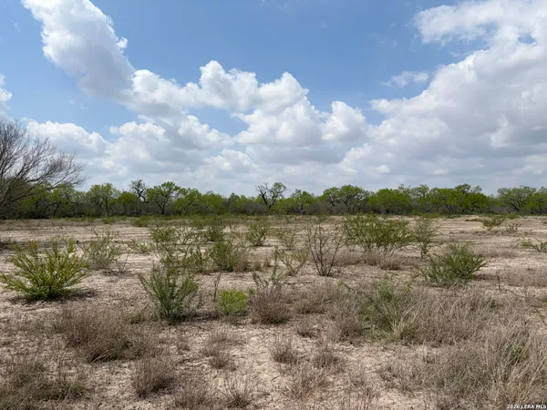 $150,000 | 0 East Fm 791, Pleasanton, TX 78064