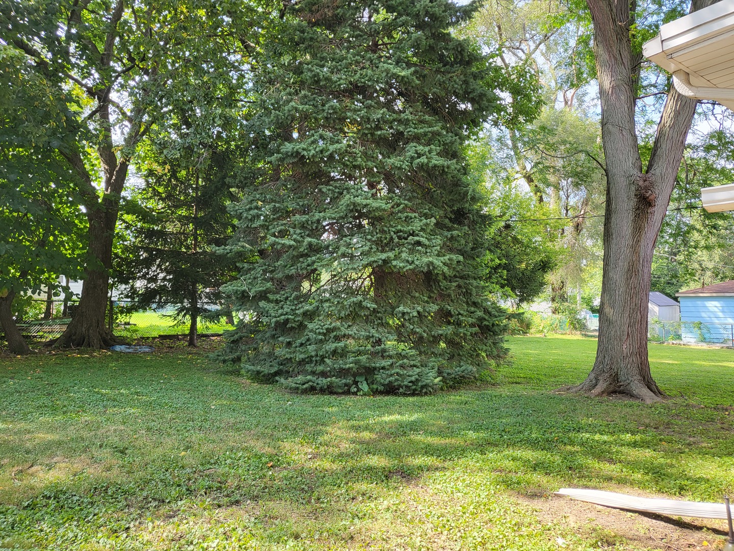 3328 Butler Avenue Steger, IL 60475 - Photo 21 of 22 a view of a trees in a yard