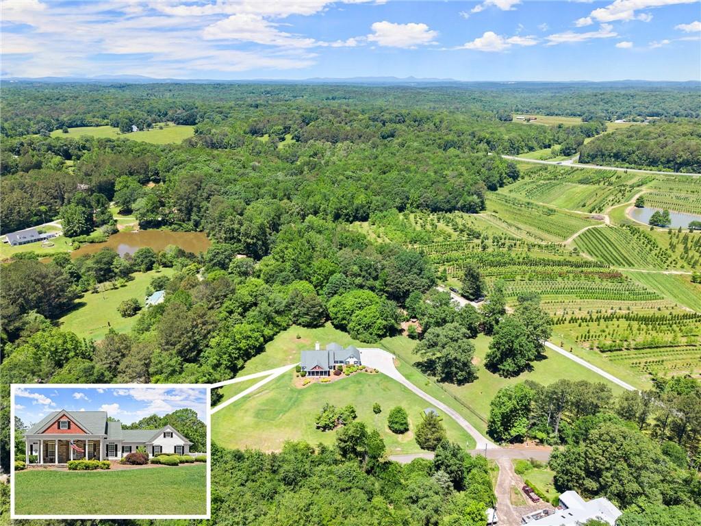 1617 Edwards Mill Road Ball Ground, GA 30107 - Photo 39 of 42 an aerial view of residential houses with outdoor space and street view