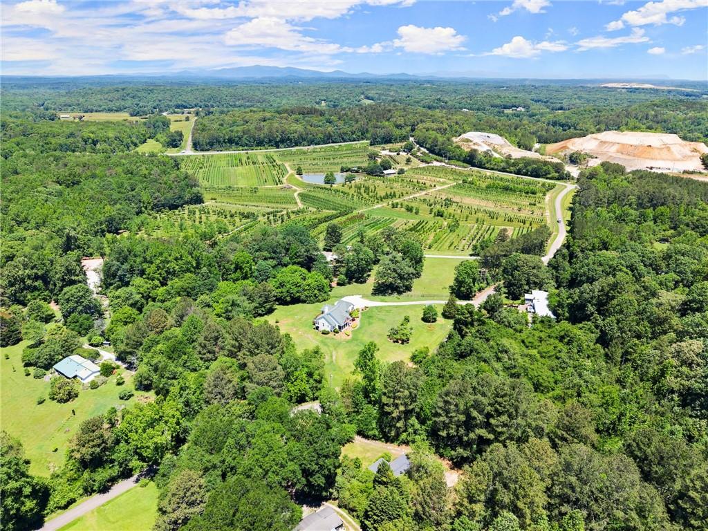 1617 Edwards Mill Road Ball Ground, GA 30107 - Photo 41 of 42