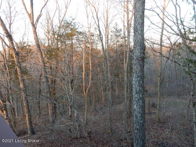 454 Pea Ridge Road Waddy, KY 40076 - Photo 8 of 48 DSCN5731