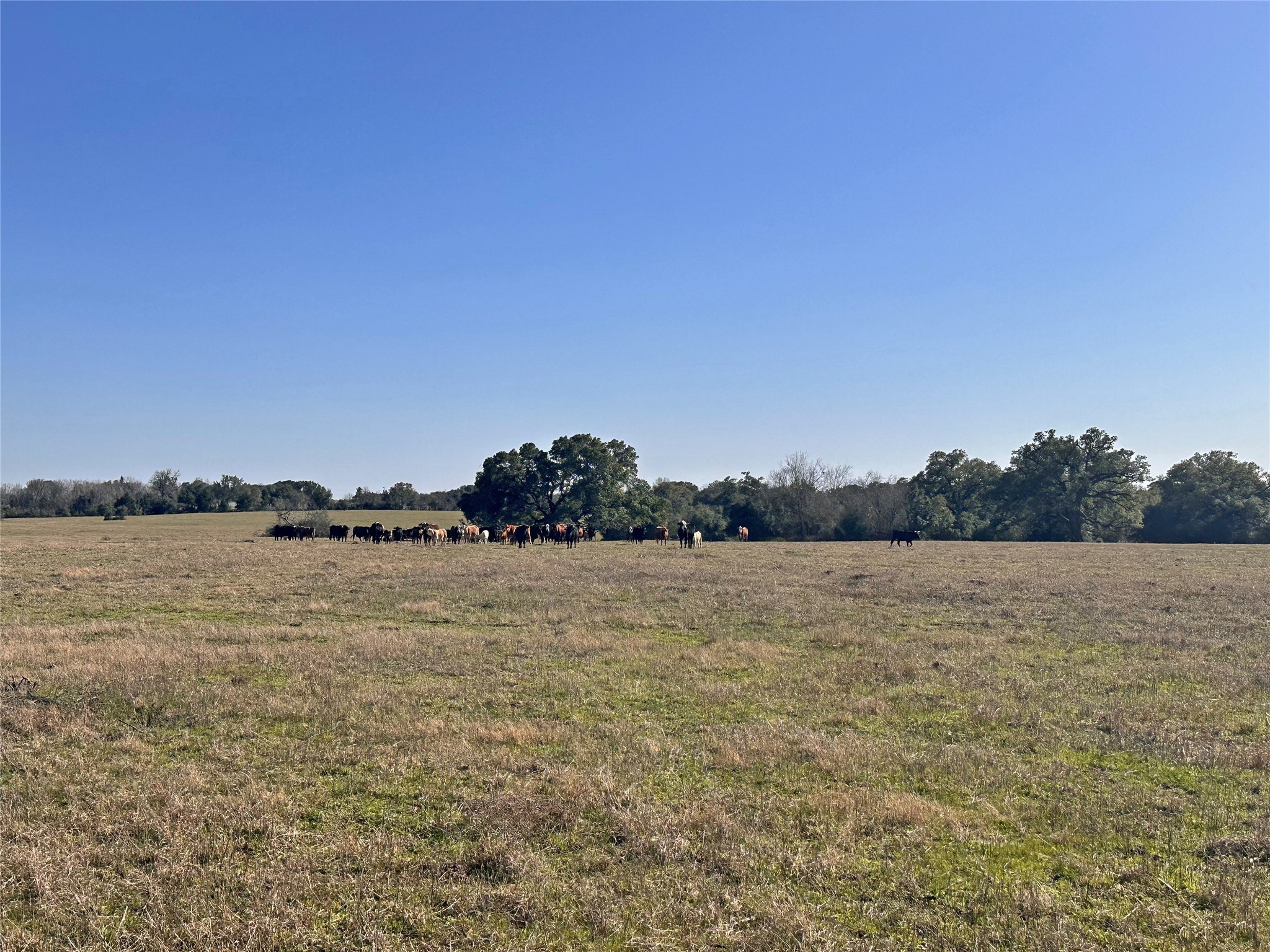 0 William Penn Washington, TX 77880 - Photo 5 of 11 a view of lake