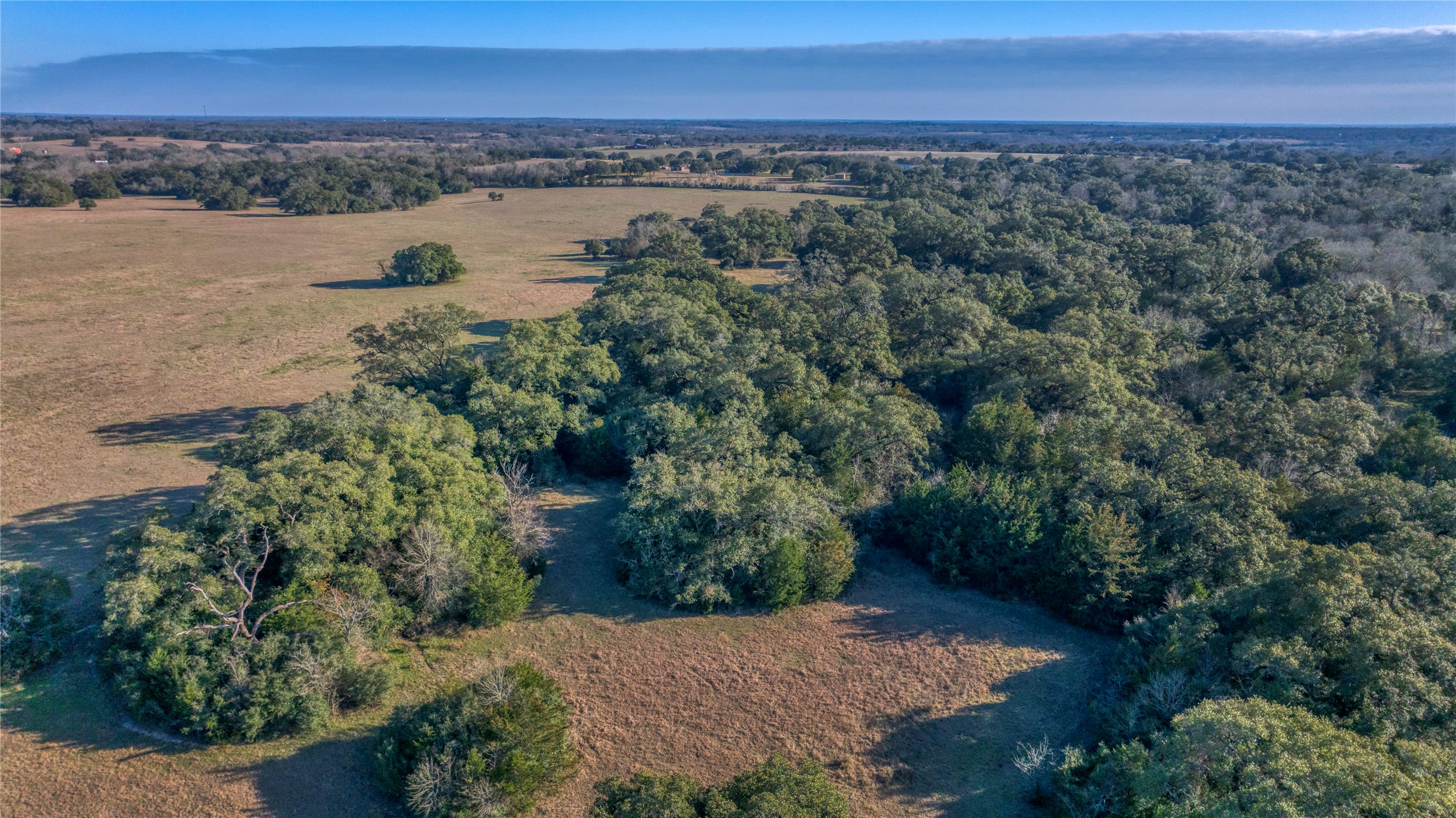 0 William Penn Washington, TX 77880 - Photo 10 of 11 a view of a lake with a city view