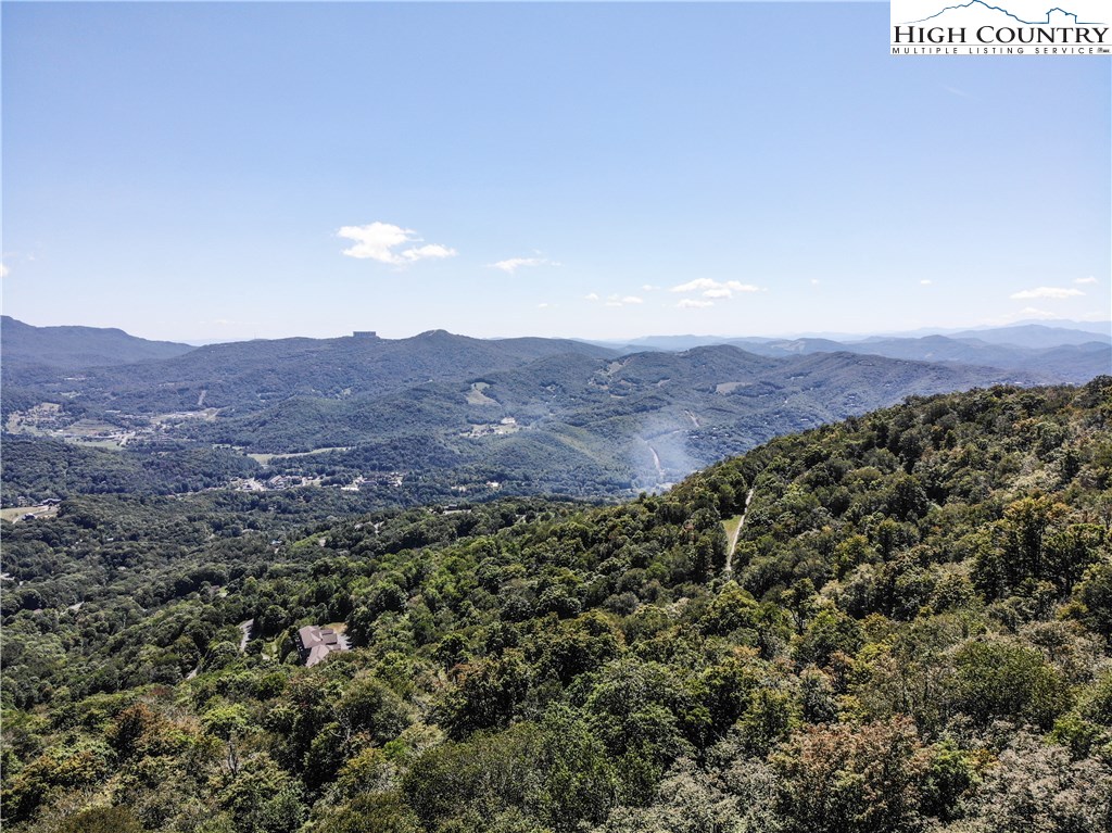133 Skiloft Road Beech Mountain, NC 28604 - Photo 11 of 47 Gallery Image 11
