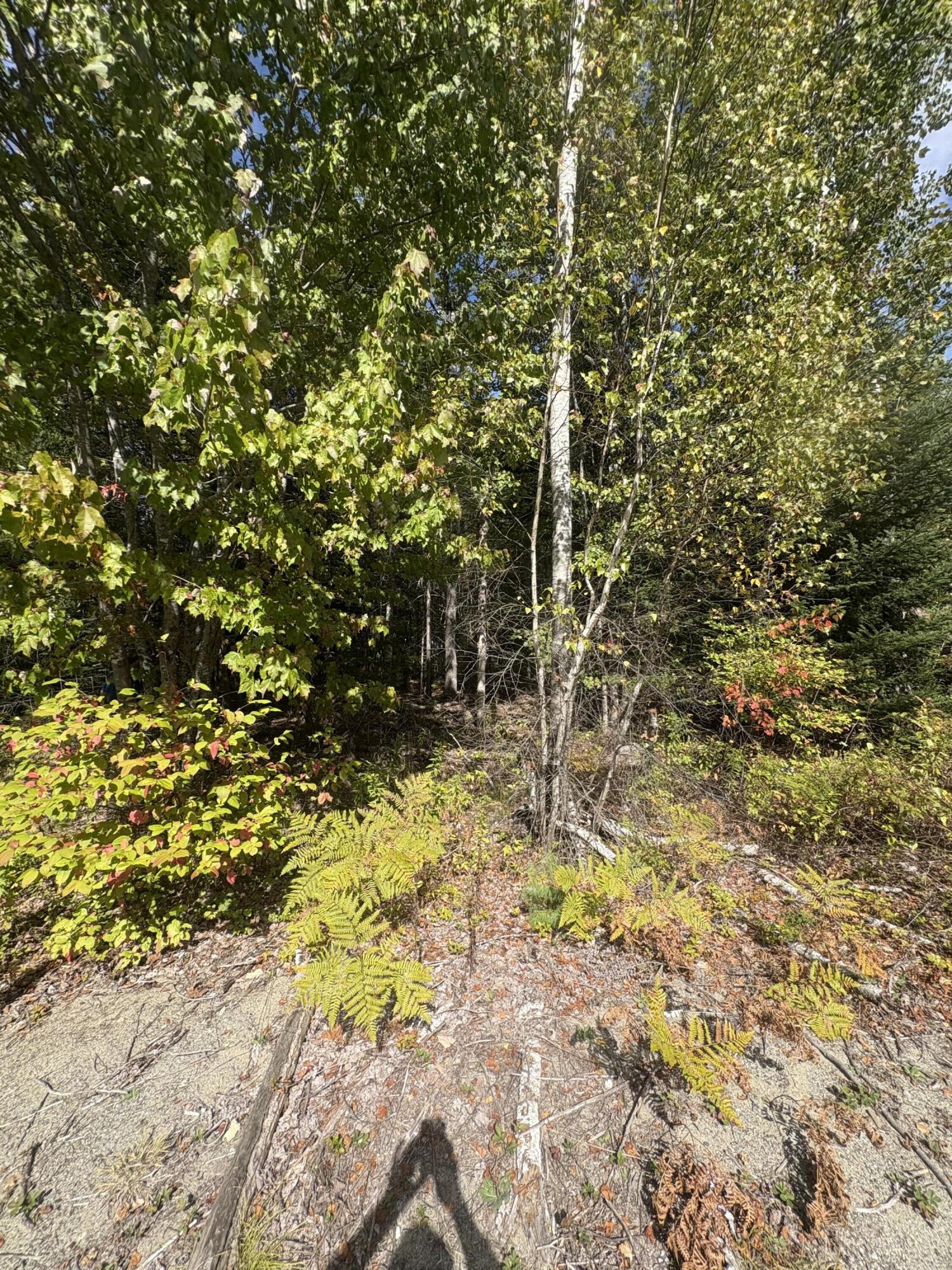 33 Maxfield Road Howland, ME 04448 - Photo 18 of 24 IMG_5494