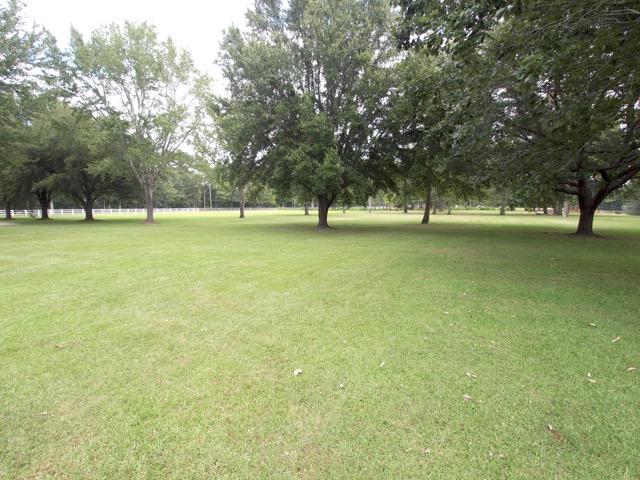 6297 Old Jacksonboro Road Ravenel, SC 29470 - Photo 7 of 54 P1019284