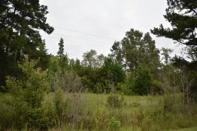 $175,000 | 1544 County Rd S-45-678, Lake City, SC 29560