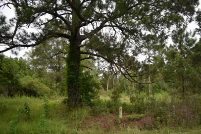 $175,000 | 1544 County Rd S-45-678, Lake City, SC 29560