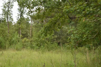 $175,000 | 1544 County Rd S-45-678, Lake City, SC 29560