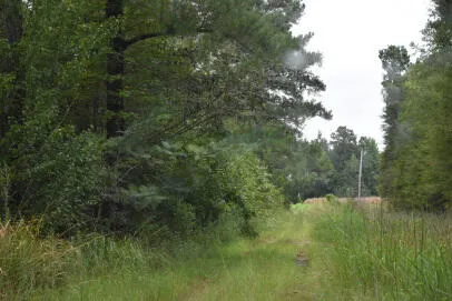 $175,000 | 1544 County Rd S-45-678, Lake City, SC 29560