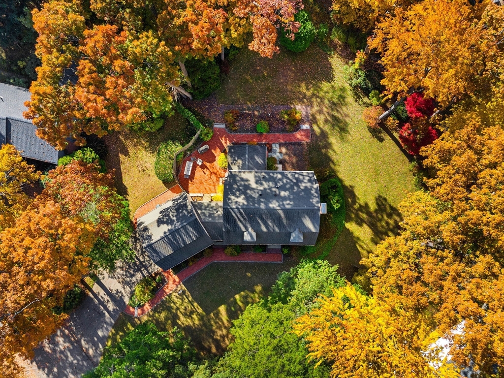 5 Fulton Road Andover, MA 01810 - Photo 2 of 27 a view of a tree in a yard