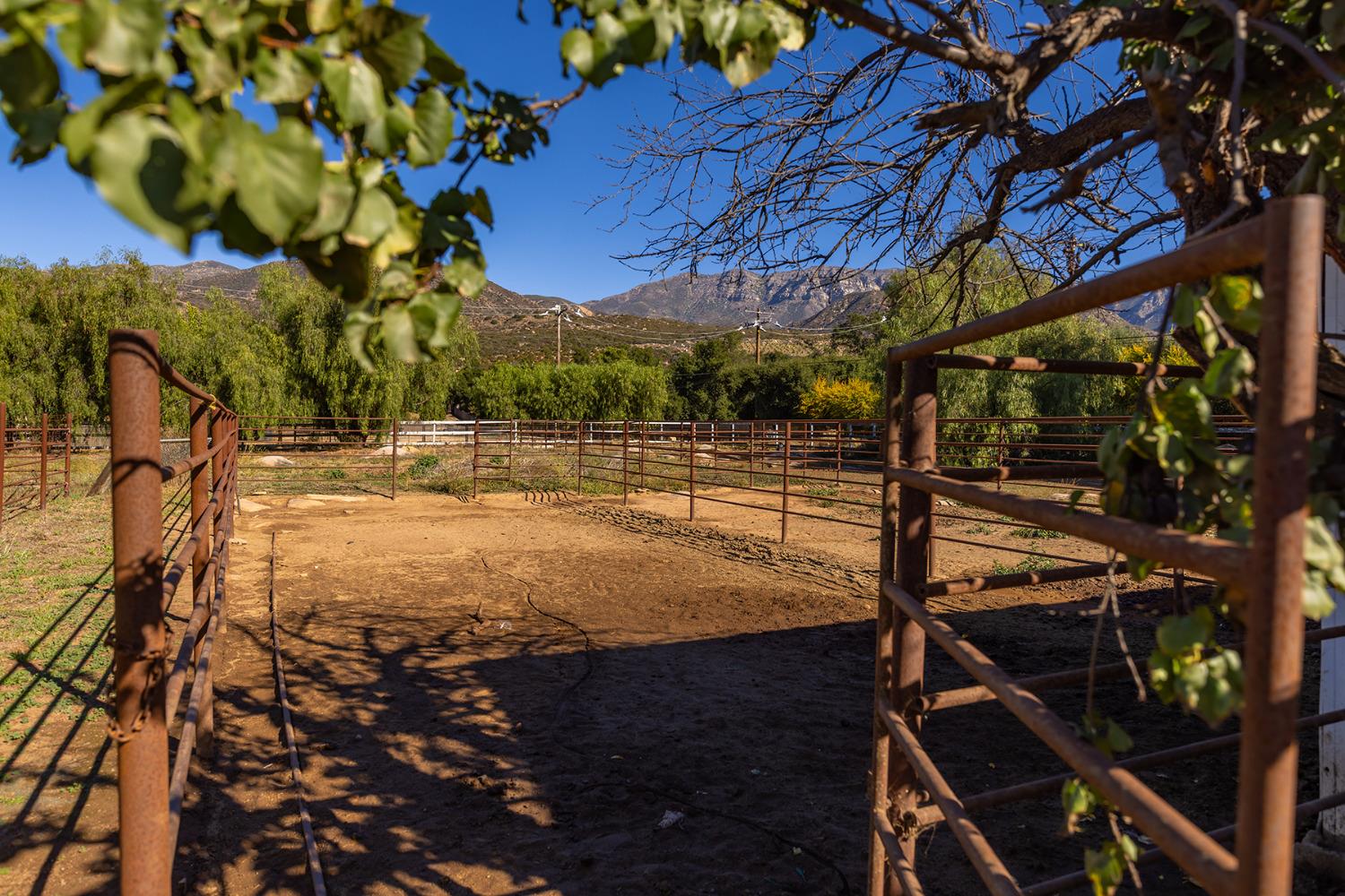 12523 Treeranch Road Ojai, CA 93023 - Photo 13 of 24 Gallery Image 13