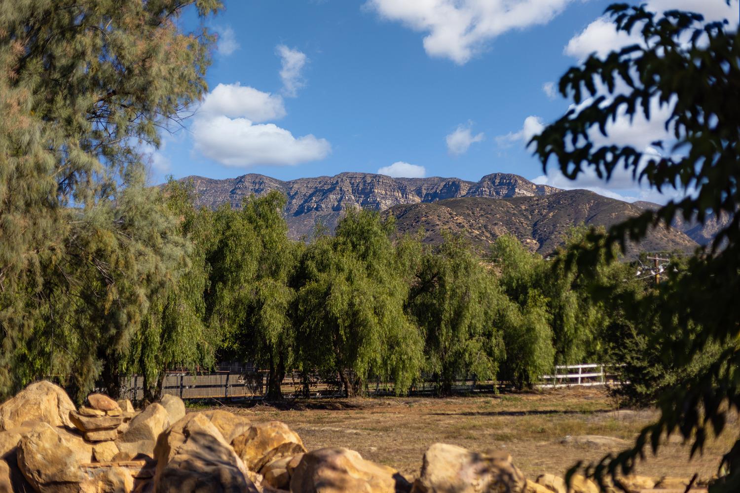 12523 Treeranch Road Ojai, CA 93023 - Photo 2 of 24 Gallery Image 2