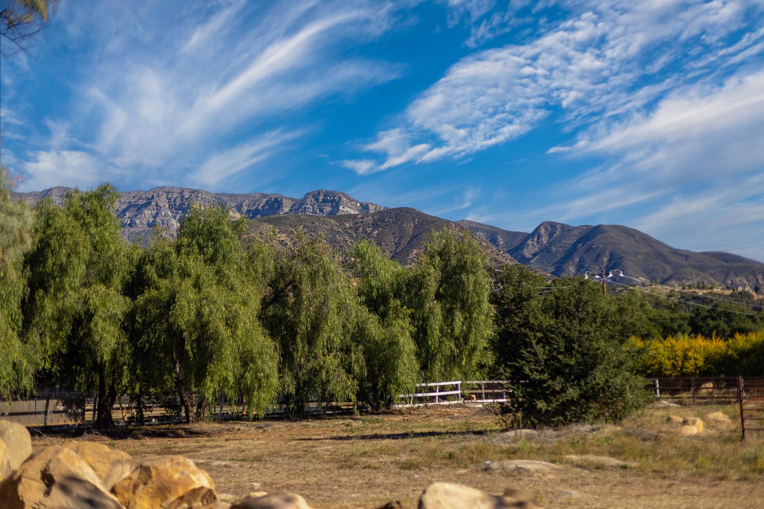 12523 Treeranch Road Ojai, CA 93023 - Photo 3 of 24 Gallery Image 3