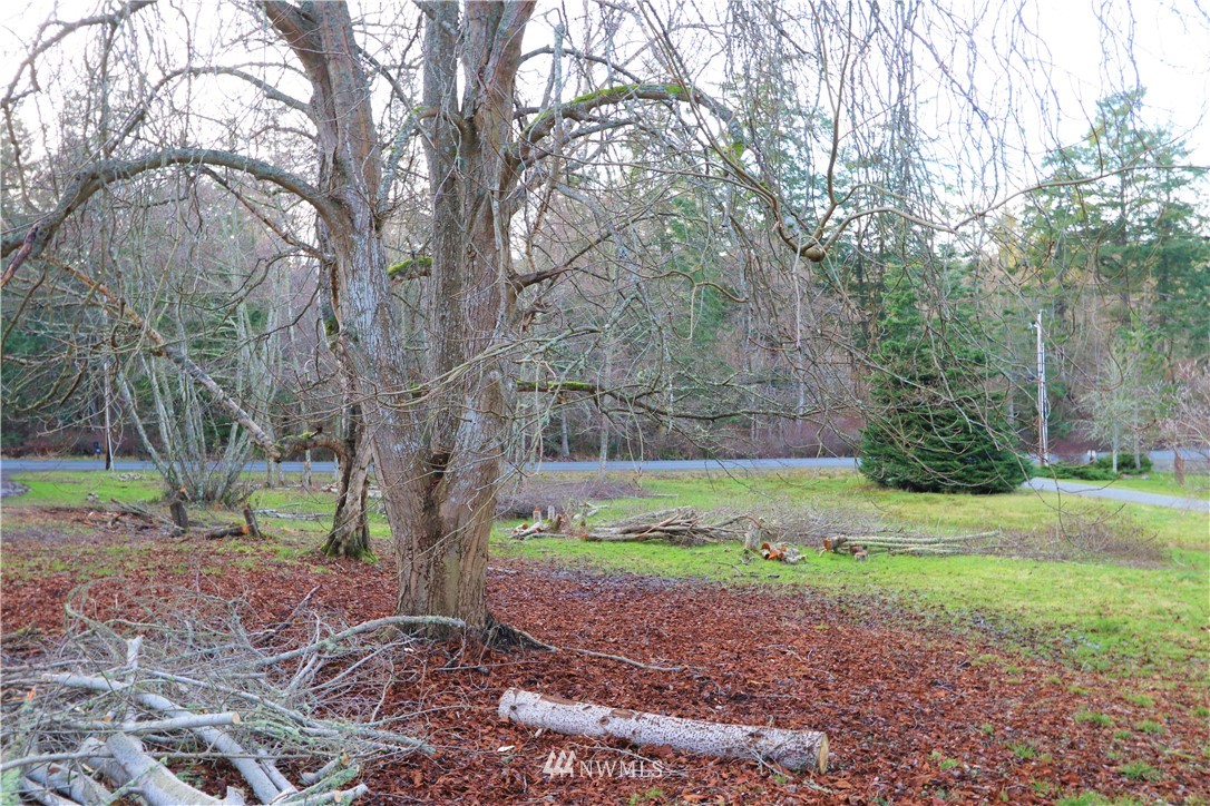 13223 Thompson Road Anacortes, WA 98221 - Photo 23 of 40 Gallery Image 23