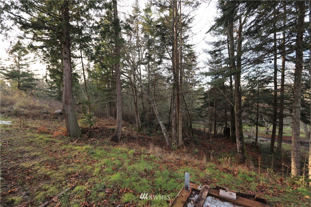 13223 Thompson Road Anacortes, WA 98221 - Photo 25 of 40 Gallery Image 25