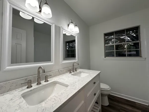 a bathroom with a toilet a sink and a mirror